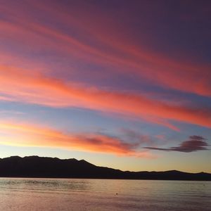 Meet your Posher, Peggy